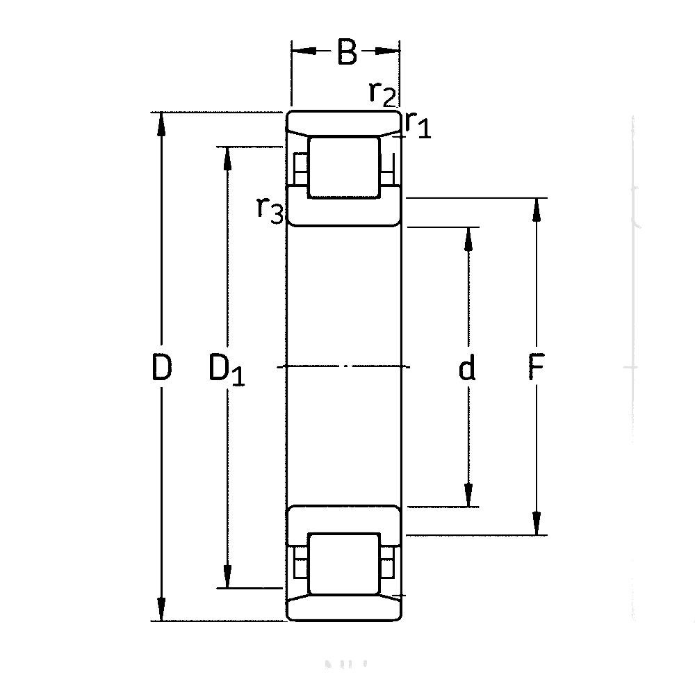 Роликовый цилиндрический подшипник N 311 ECM/P63